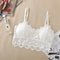 Pack Of 3 Imported Girls Cotton Lace Spandex Wire Free Fashionable Floral Crop Tops